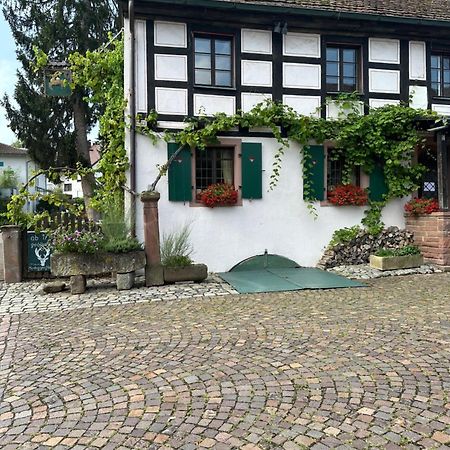 Exklusive Maisonette-Wohnung Am Rande Von Freiburg Merzhausen Exteriér fotografie