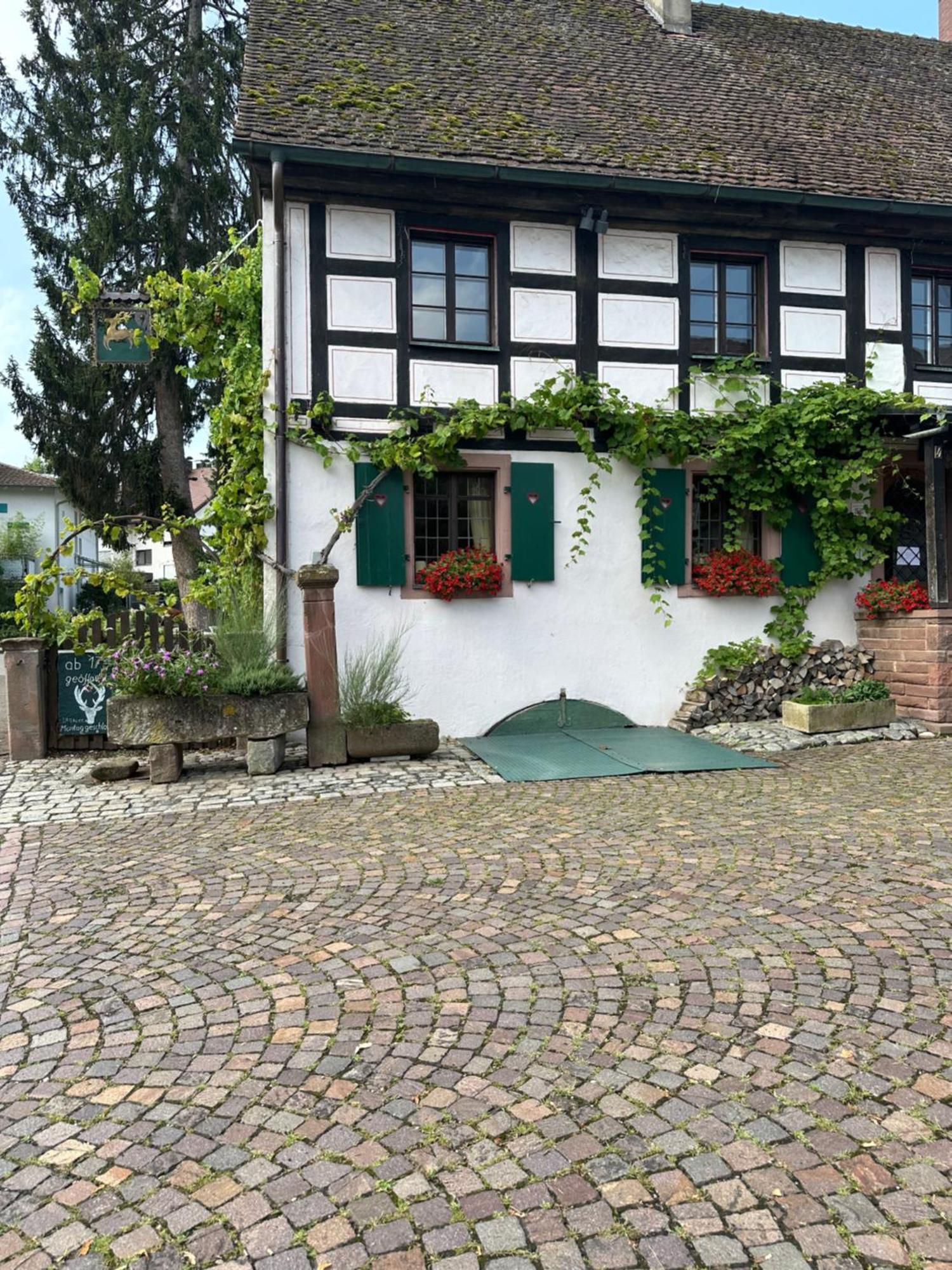 Exklusive Maisonette-Wohnung Am Rande Von Freiburg Merzhausen Exteriér fotografie